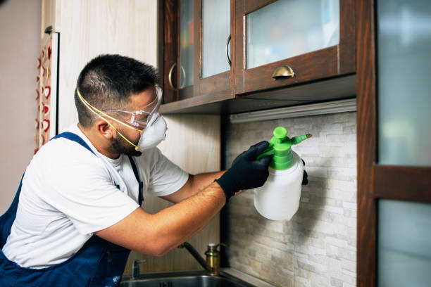 Best Cockroach Control Services  in Ocean City, FL