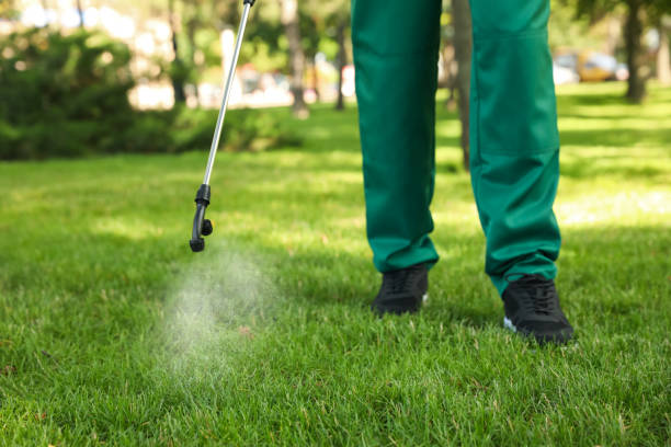 Pest Prevention Services in Ocean City, FL