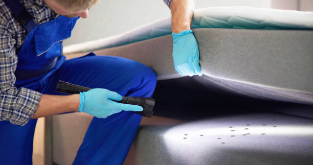 Best Wasp Removal Services  in Ocean City, FL