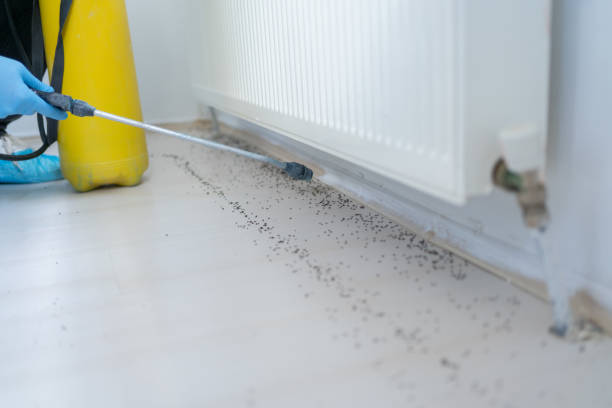 Best Pest Control Near Me  in Ocean City, FL